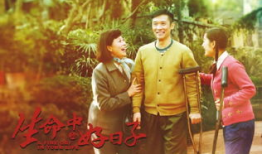 第二次生命电视剧全集,重生之路，情感救赎之旅