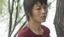 满天星电视剧,星光璀璨，命运交织