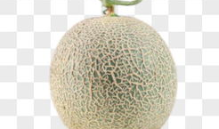 吃瓜爆料素材图片大全高清,高清素材图中的吃瓜爆料大揭秘